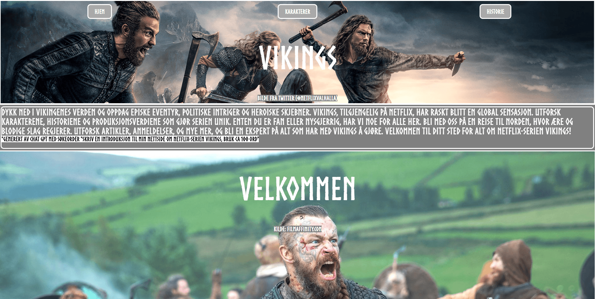 Vikings Nettside